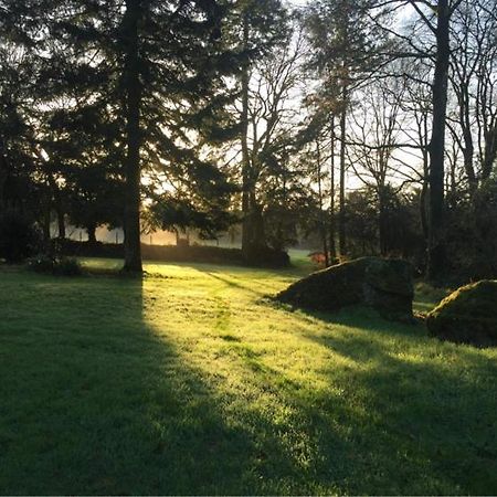 Merveilleux Cottage Dans Parc De 7,5 Hectares Saint-Nicolas-du-Pélem Dış mekan fotoğraf
