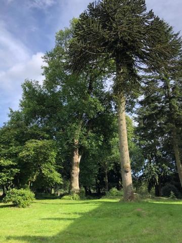 Merveilleux Cottage Dans Parc De 7,5 Hectares Saint-Nicolas-du-Pélem Dış mekan fotoğraf