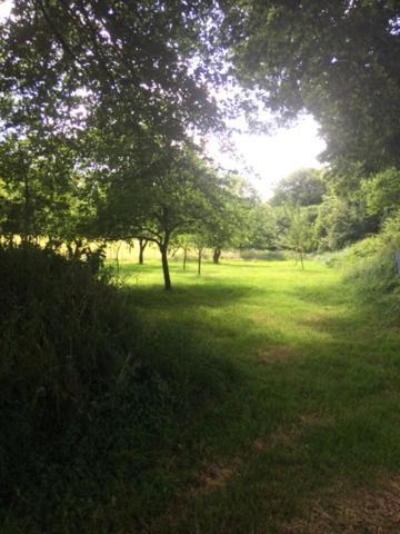 Merveilleux Cottage Dans Parc De 7,5 Hectares Saint-Nicolas-du-Pélem Dış mekan fotoğraf